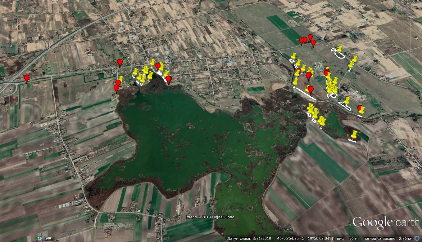 izvestaj3-Special nature reserve Ludas lake2019